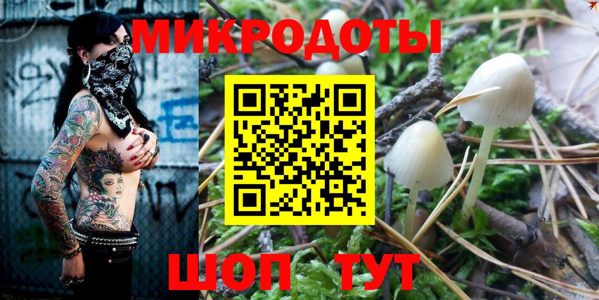 Псилоцибиновые грибы Magic Shrooms Сланцы