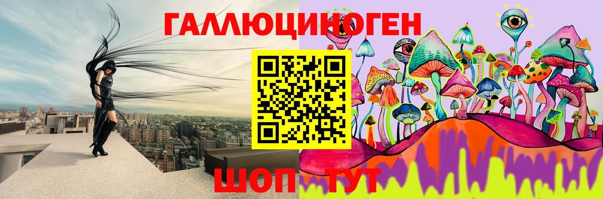 Псилоцибиновые грибы мухоморы  где купить   Вход с VPN  Сланцы  Псилоцибиновые грибы Psilocybe 